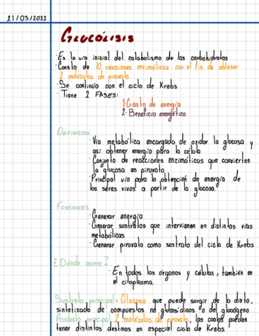 GLUCOLISIS.pdf
