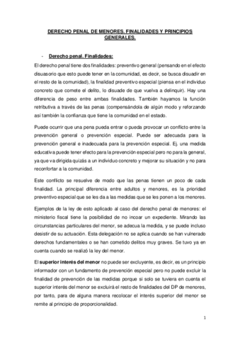 DERECHO-PENAL-DE-MENORES.pdf