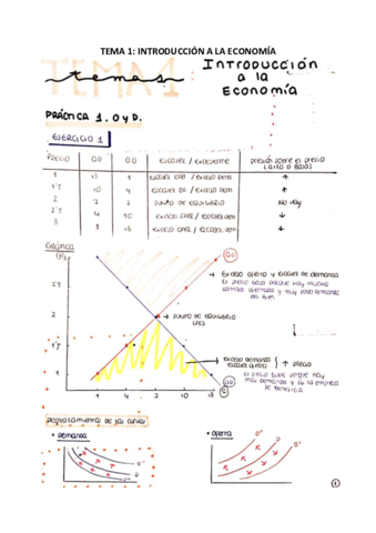 TEMA-1-ECONOMIA.pdf