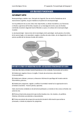 LOS-BLOQUES-FUNCIONALES.pdf