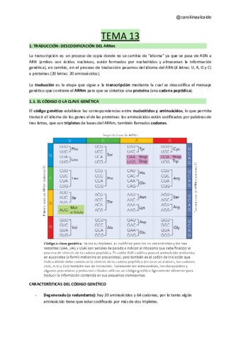 TEMA-13-Genetica-molecular-II-traduccion-del-ARNm-sintesis-de-proteinas.pdf