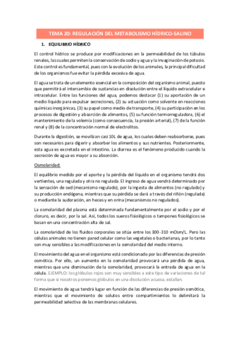 TEMA-20.pdf