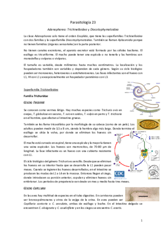 Parasitologia-23.pdf