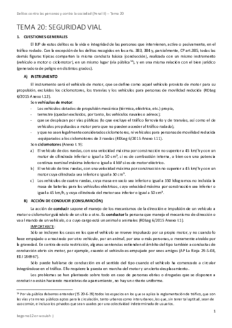 Tema-20-Seguridad-vial.pdf