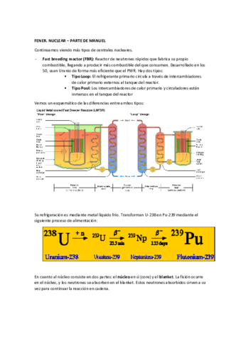 FENER-Apuntes-de-Nuclearparte-de-Manuel-1.pdf