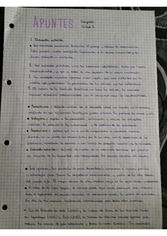 Unidad-6-geografia-original.pdf
