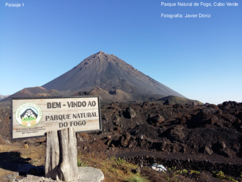 Examen-PGTDT-junio-2020.pdf