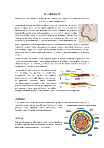 Parasitologia-22.pdf