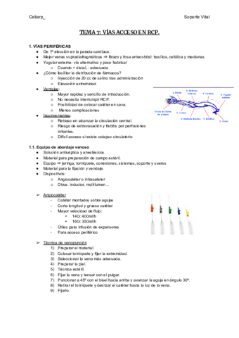 TEMA-7-VIAS-ACCESO-EN-RCP.pdf