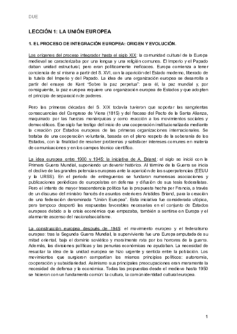 Resumen-DUE-valido.pdf