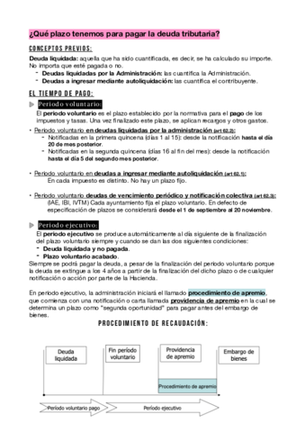 teoria-plazos-y-PRACTICA-2-BIEN-EXPLICADO.pdf