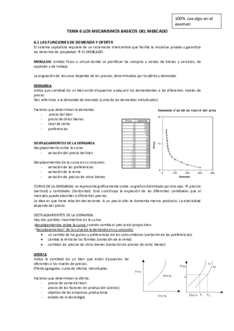 TEMA-6.pdf