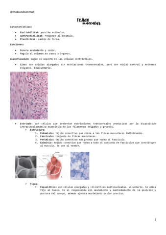 TEJIDO-MUSCULAR.pdf