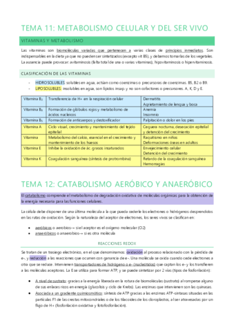 METABOLISMO + CATABOLISMO: T11 Y 12.pdf