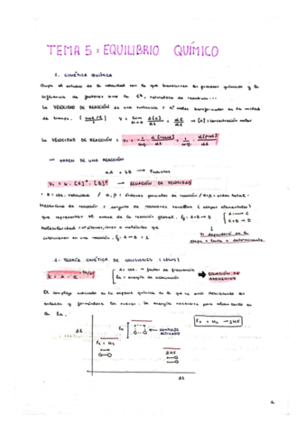 TEMA-5-EQUILIBRIO.pdf