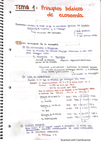 tema-1-economia.pdf