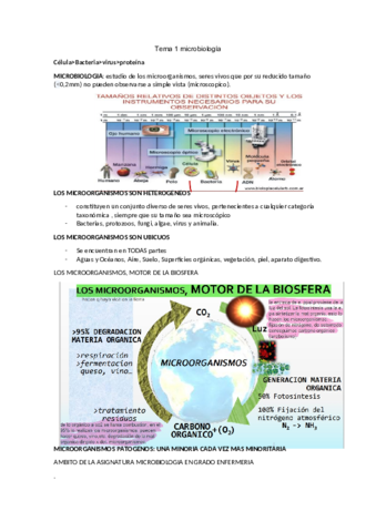 microbiologia.pdf