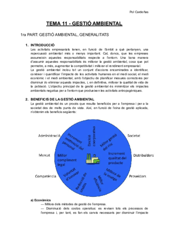 RESUM-T11-TECNOLOGIES-AMBIENTALS-I-SOSTENIBILITAT.pdf