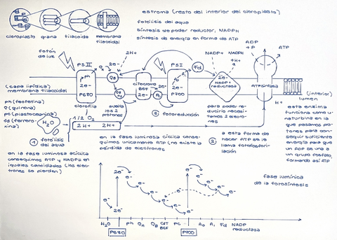 E1145F9F-90D4-41D9-82DC-446518AC3A22.jpg