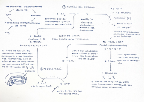 ADF278D4-FF90-4D3E-8BA5-0DB772411CEB.jpg