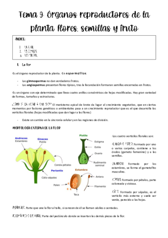 tema-9-vegetal.pdf