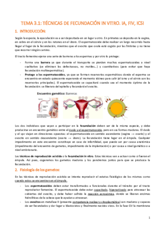 UNIDAD-3.pdf