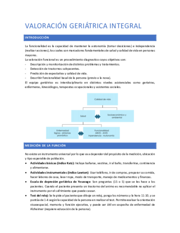 Valoracion-geriatrica-integral.pdf