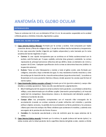 Anatomia-del-globo-ocular.pdf