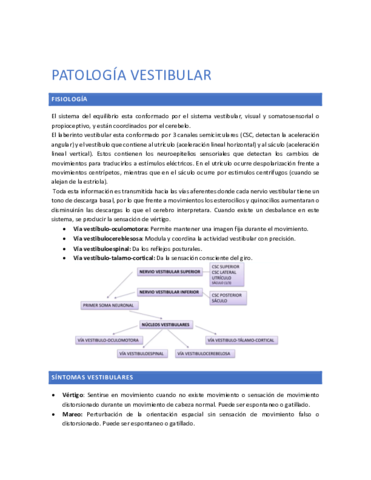 Patologia-vestibular.pdf