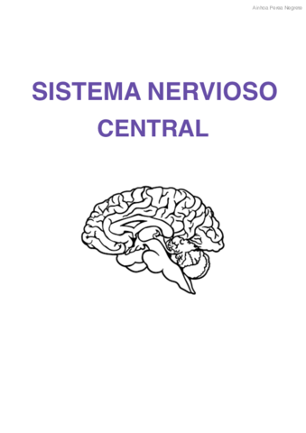 ANATOMIA-DEL-SNC-Ainhoa-Perea.pdf