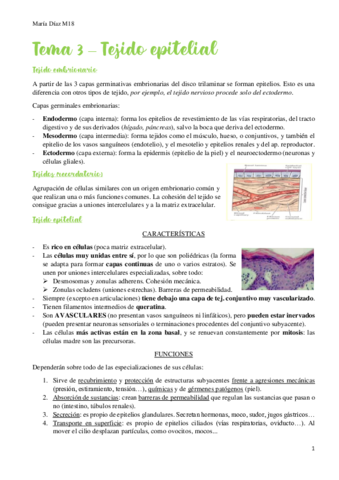 t3.pdf