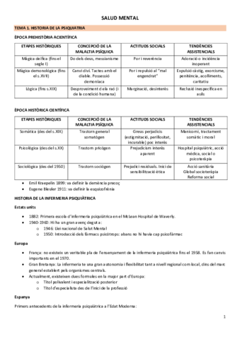 Apuntes-Salud-Mental.pdf