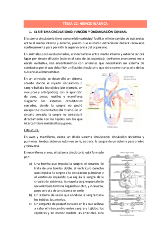 TEMA-22.pdf