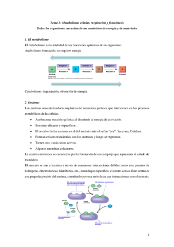 Tema-3-biologia.pdf