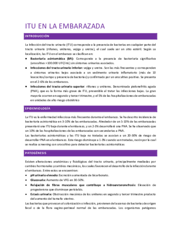 ITU-en-la-embarazada.pdf