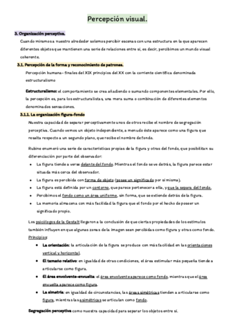 Esquema-Percepcion-visual.pdf