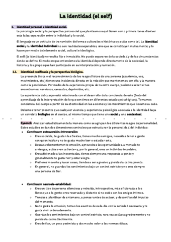 Resumen--La-identidad-el-self.pdf