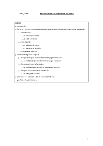 OBLUD02Medidasdeseguridadehigiene-1.pdf