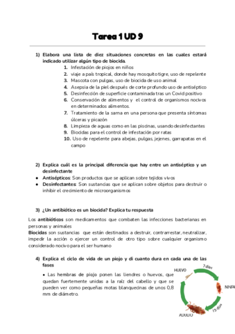 DPP-TEMA-9-1.pdf
