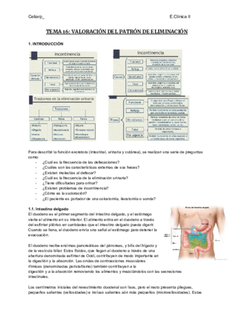 TEMA-16-VALORACION-DEL-PATRON-DE-ELIMINACION-INTESTINAL.pdf