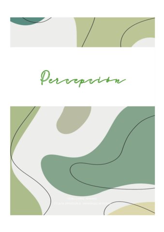 percepcion.pdf