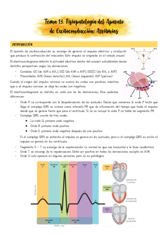 Tema-13.pdf