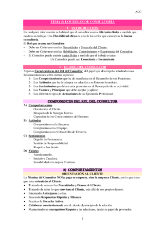 TEMA-5-Consultoria.pdf