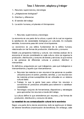 Tema-3.pdf