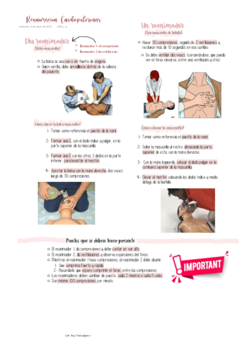 Reanimacion-Cardiopulmonar.pdf