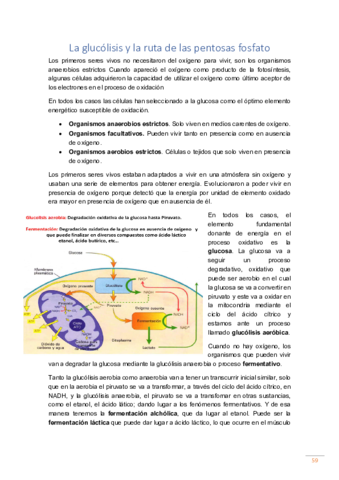 Tema-6.pdf