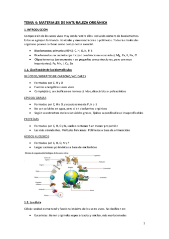 TEMA-4-ciencias.pdf