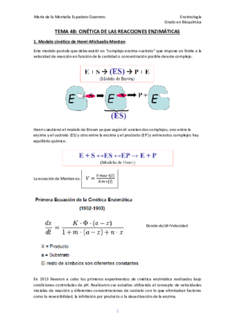Tema-4B-enzimo-Monti.pdf