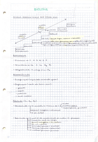 0FEF5F1F-776C-41B9-B463-5A68789B1535.jpg