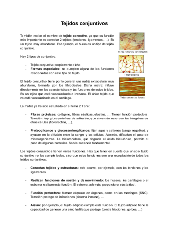 Tema-5-Tejidos-conjuntivos.pdf